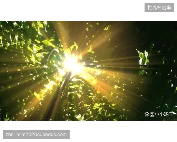 洛卡迪亚的世界杯之路充满曲折，这位前荷兰希望之星渴望为母亲祖国证明自己。